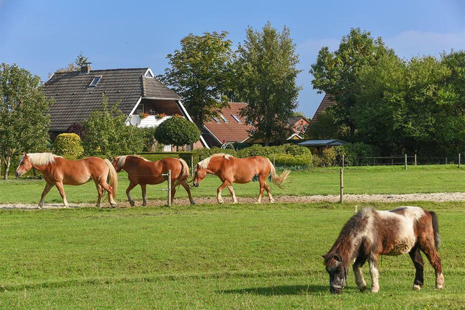 Ferienhof zur alten Linde Holtgast Exterior foto